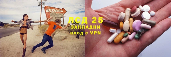 ПСИЛОЦИБИНОВЫЕ ГРИБЫ Магадан
