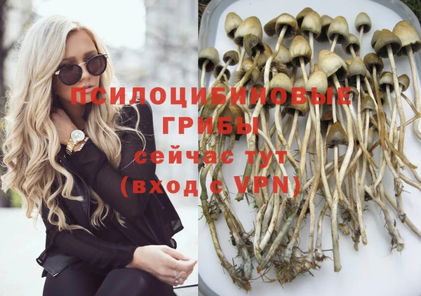 ПСИЛОЦИБИНОВЫЕ ГРИБЫ Магадан