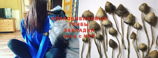 мет Верхний Тагил