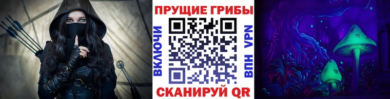 Галлюциногенные грибы GOLDEN TEACHER  Цоци-Юрт 